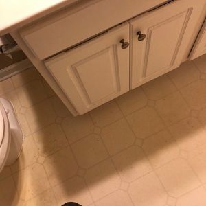 Meet your Posher, Kanarie